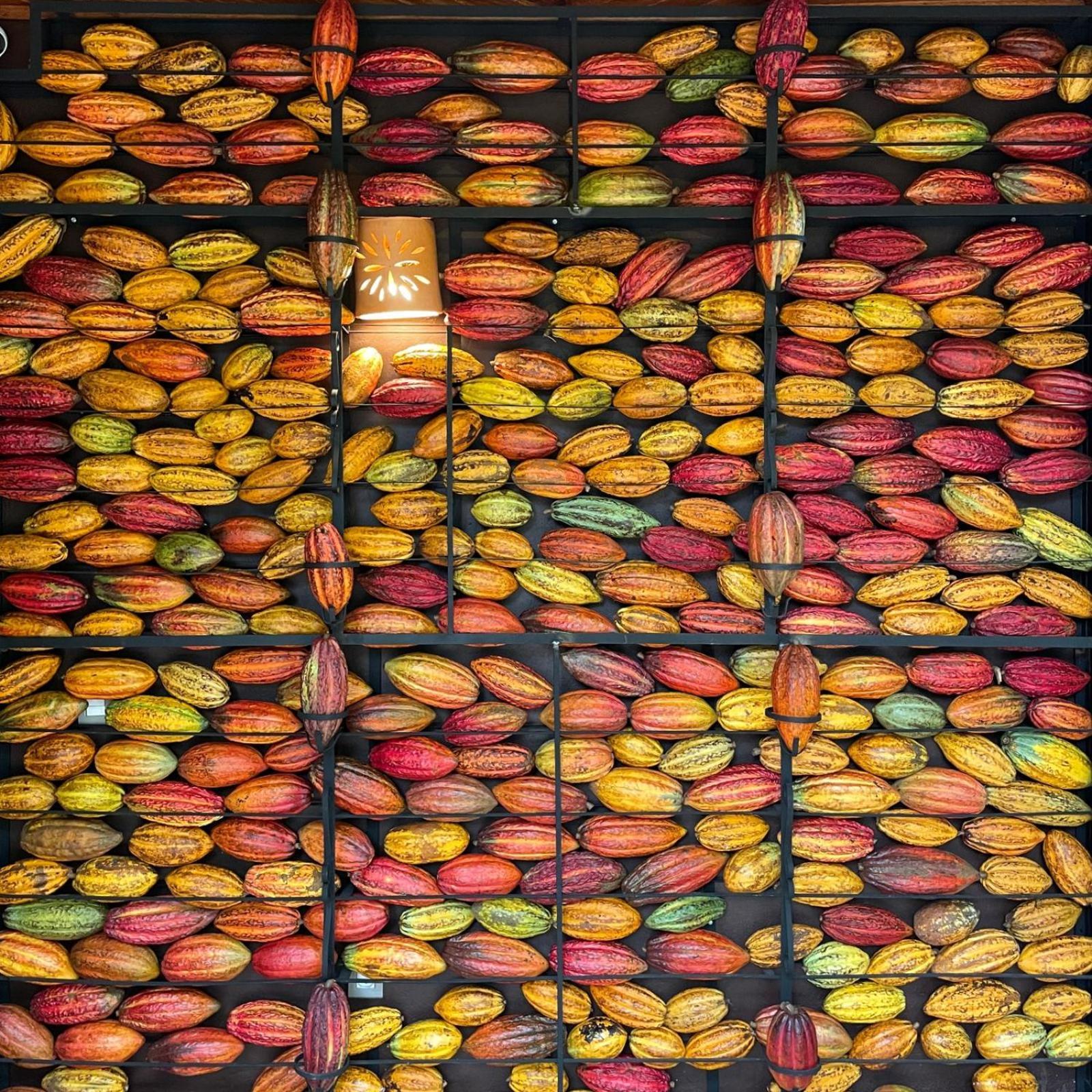 Chocolate Hotel Itacare Bagian luar foto